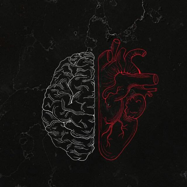 ❤️?&nbsp;?&nbsp;?&nbsp;?&nbsp;?❤️&nbsp;   A/L 