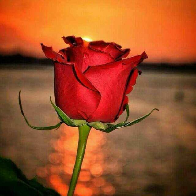 Deewane ????????‍♀??‍♀??‍♀??‍♀