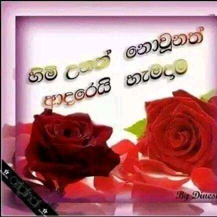 Thilini amasha