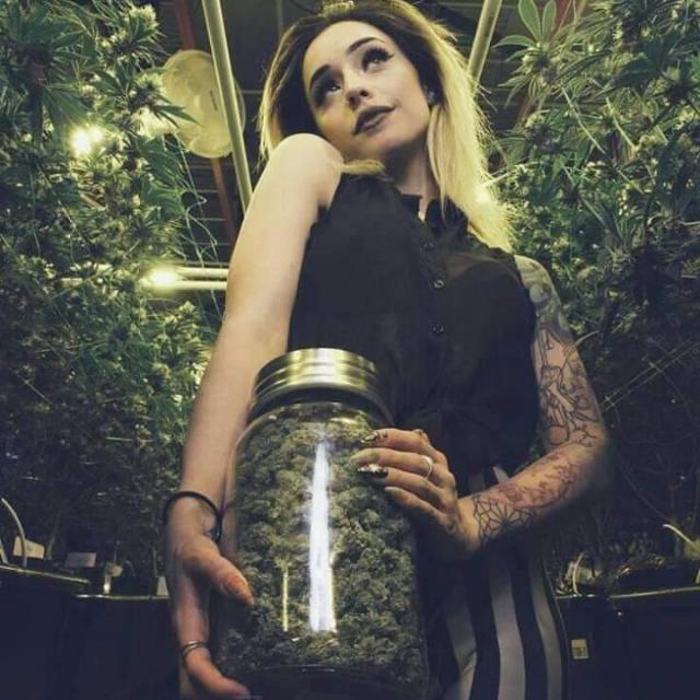 FmaleAnchor +923137465887