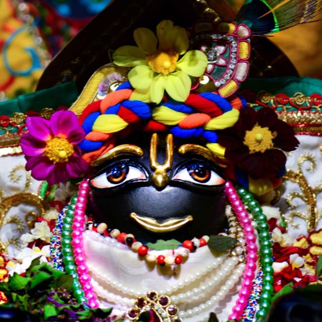 !! श्री राधे कृष्णा!!