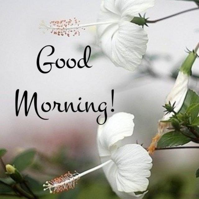GAQ භාහිර උපාධි සිසු පවුර