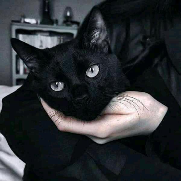🤭POSTS♥VIDEOS😍PHOTOS🌸