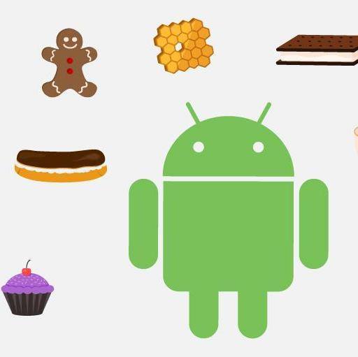 Bunts sangha TY BSC IT