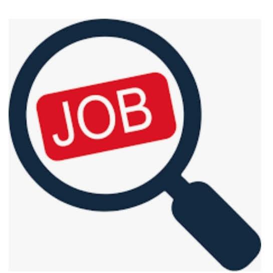 4  (semi government job)