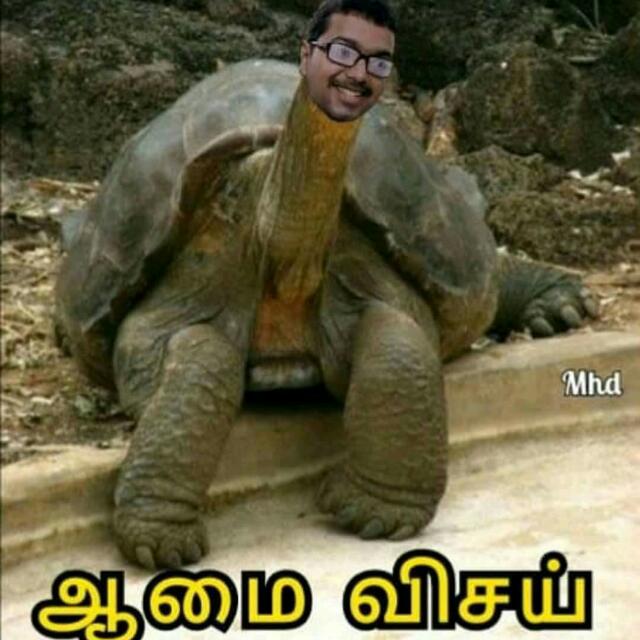 🐢ஆமை அணில் விசய்🐢