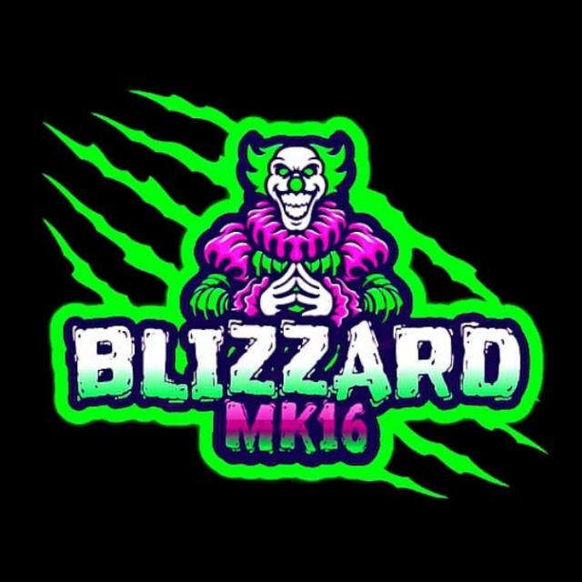 M16B LOGO and intro maker