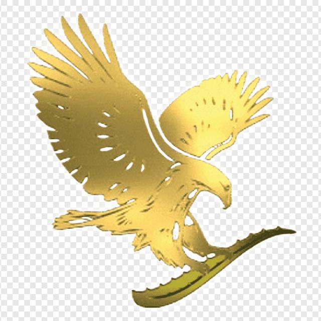 Forever living products