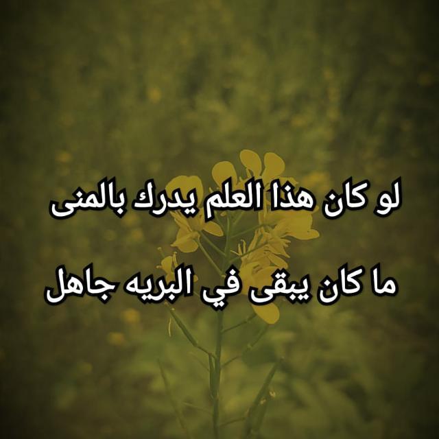 ?‍♂&nbsp;ᗷᗩᗞᗩᏞᎢᏆ&nbsp;ᗞᑌᑎᎩᗩ&nbsp;?&nbsp;???