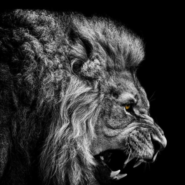 හොඳ ලමයි