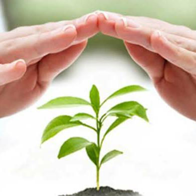 Save? trees and save life