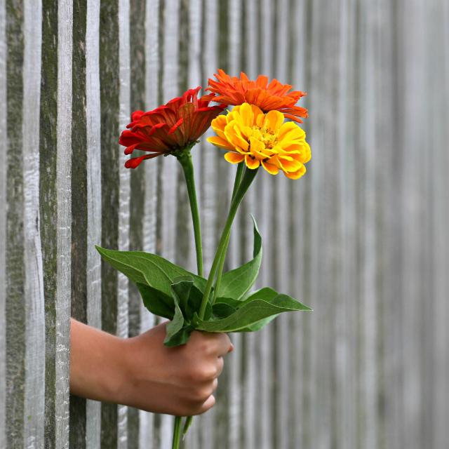 ??????????? ????????