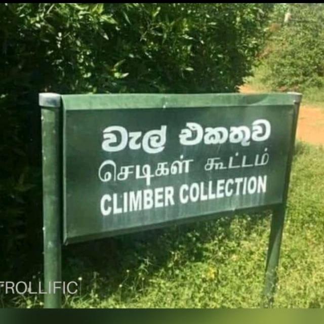 🔞අපේ Hub 11🇱🇰