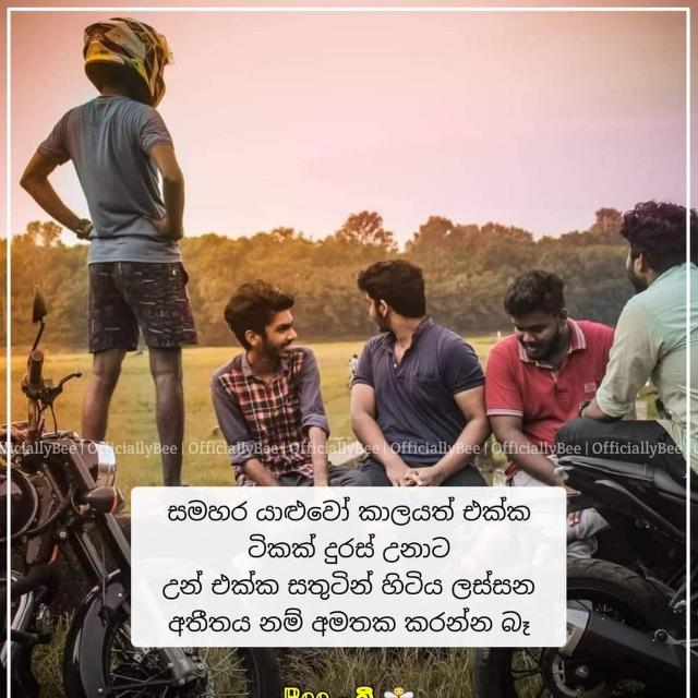 ?⃟࿔⃝❤️සහෝදර බැදීම්?࿔⃝༒⃝❤️᭄