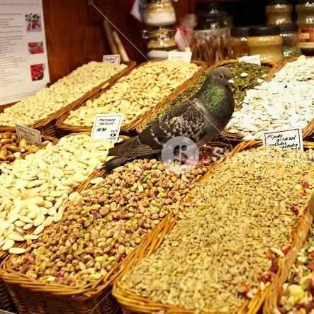 Samyukta Grocery