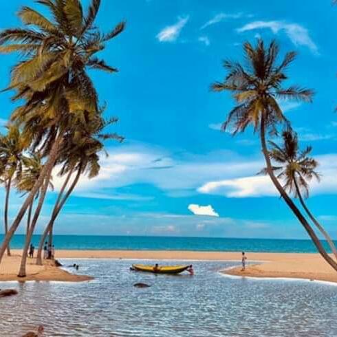 ❤️கவிதைகளின் சாரல்?