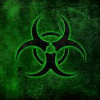 Black  hat hackers