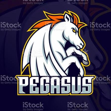 Pegasus gamer yt