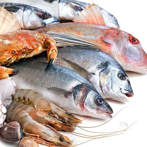 All India fish company