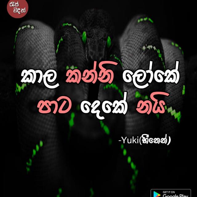 ☘️ ජාලේ ☘️ ╬ වලි කලාව ──═ ค
