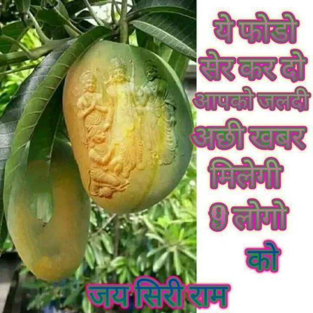 ???????️????????????????