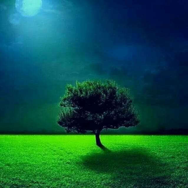 Sonipat &amp; Nearly