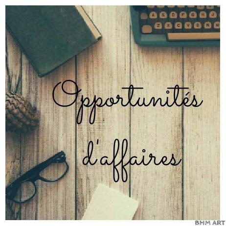 OPPORTUNITÉS D'AFFAIRES💎