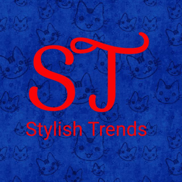 4️⃣Stylish Trends Clothings