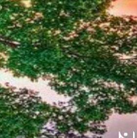 ???All Friends??? chat???