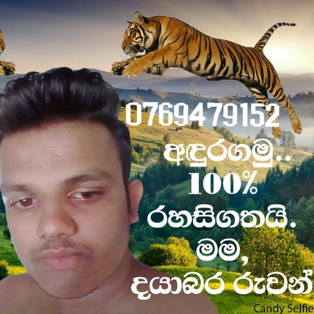 තනිකඩ අපි 