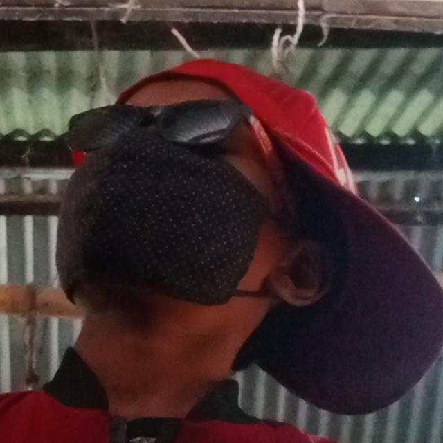 Only gift subscriber