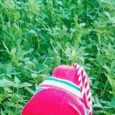 joining mai hi trut100Rs?