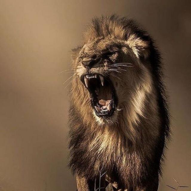 ??✦҈͜͡➳★????? ??????★ৡৢ͜͡➛??