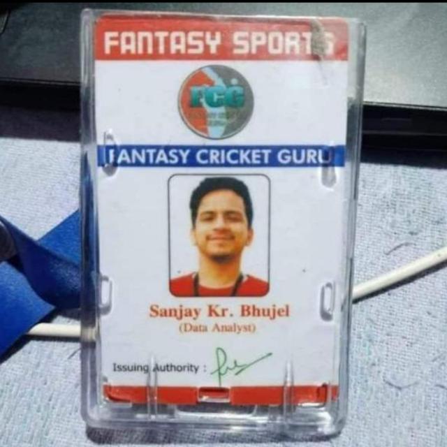 Dream 11 expert