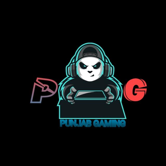 ??THE GAMER GROUP ??