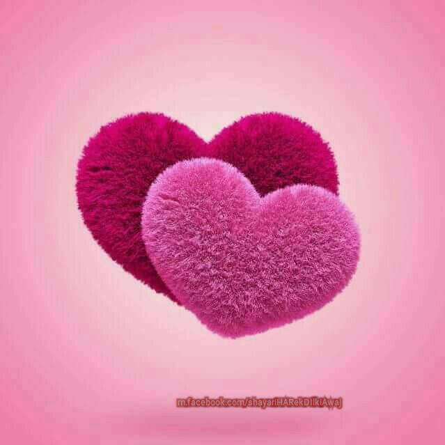 ᔑᕼᗩᎩᗩᖇᏆ&nbsp;ᕼᗩᖇ&nbsp;ᗴᏦ&nbsp;ᗞᏆᏞ&nbsp;ᏦᏆ&nbsp;ᗩᗯᗩᒍ