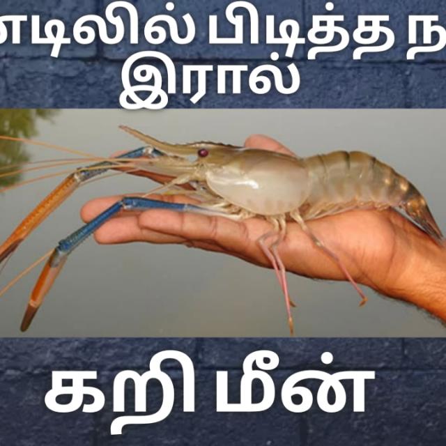 Tamil Fishing 🐟🦐🦞🦀