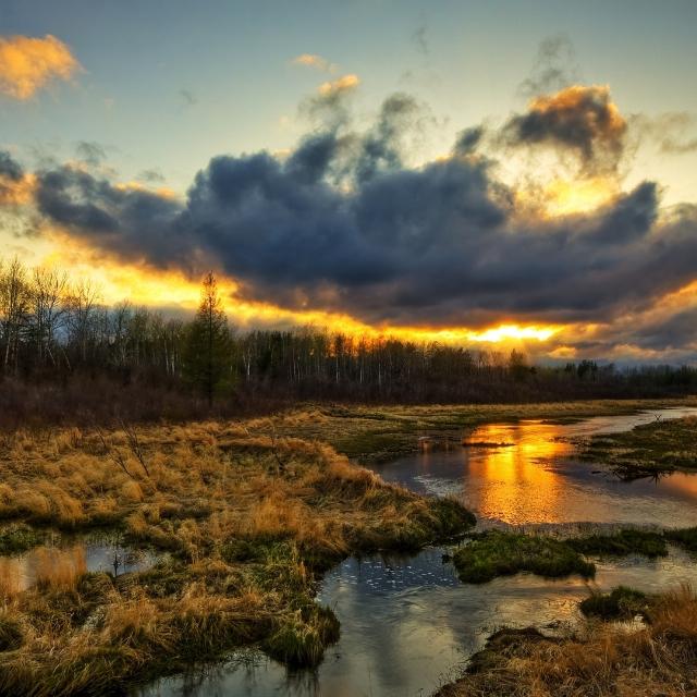 Freind of group MOTIVE ?