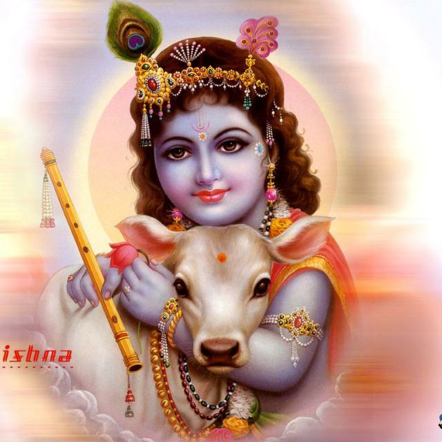 ??जय??चितौड़गढ़??