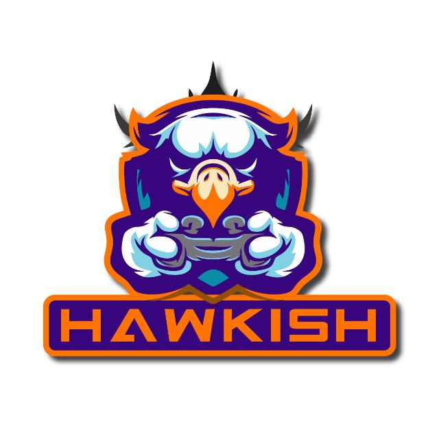 Hawkish Gaming 6