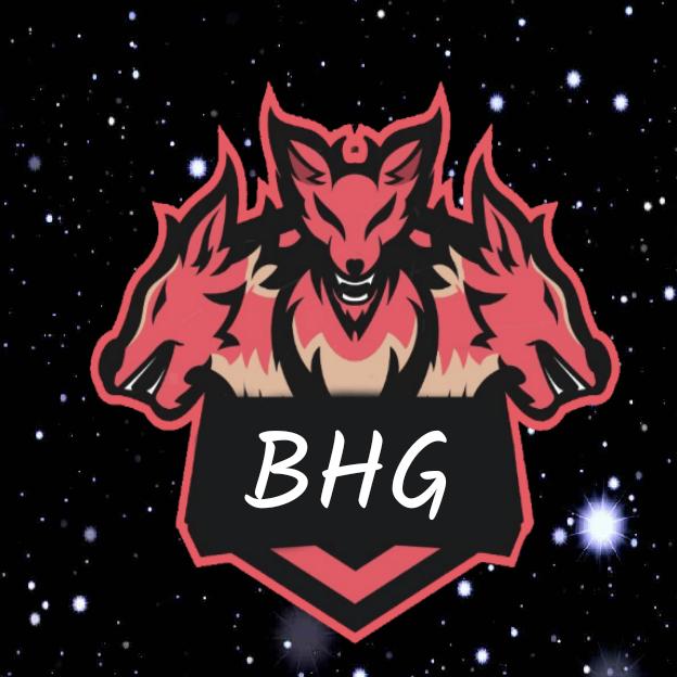 BLUE HILL GAMERS⚡🔥(FF)