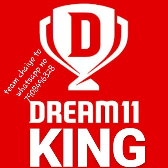 Dream 11 king  demo team