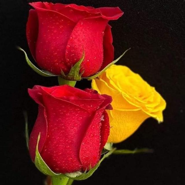 Mood fresh group enjoy