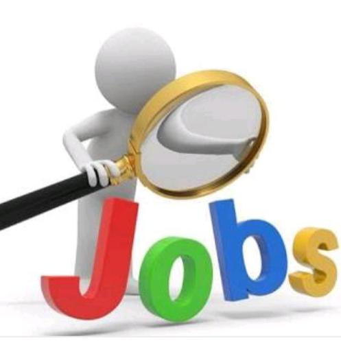 🖥Job portal🖥