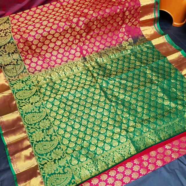 Ms introduction group