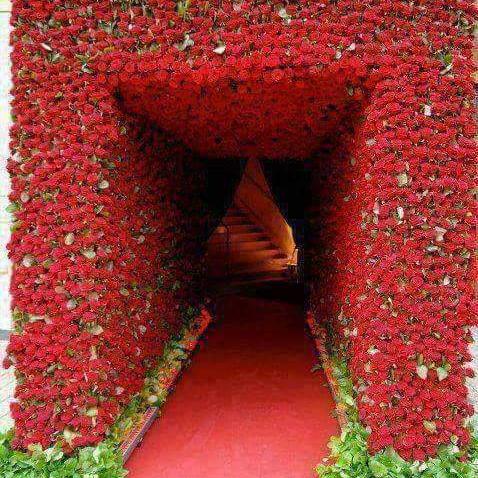 Yara Dy Yar????☝️