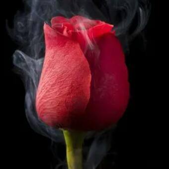 ??‍♀Ambitions &amp; ? Archivers??‍♂