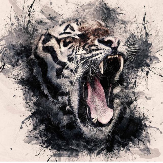 Tiger group Karnataka Whatsapp group