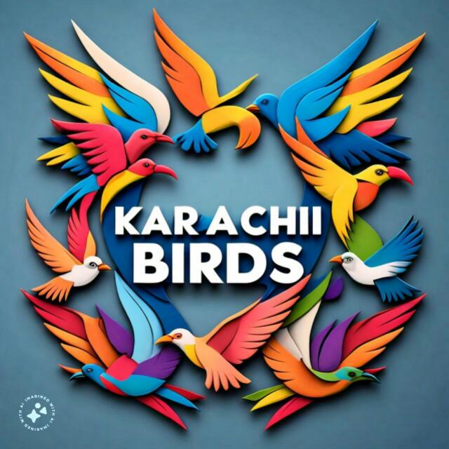 ONLY KARACHI 🦜BIRDS LOVER