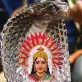 🙏જય. ચેહર માતાજી🙏